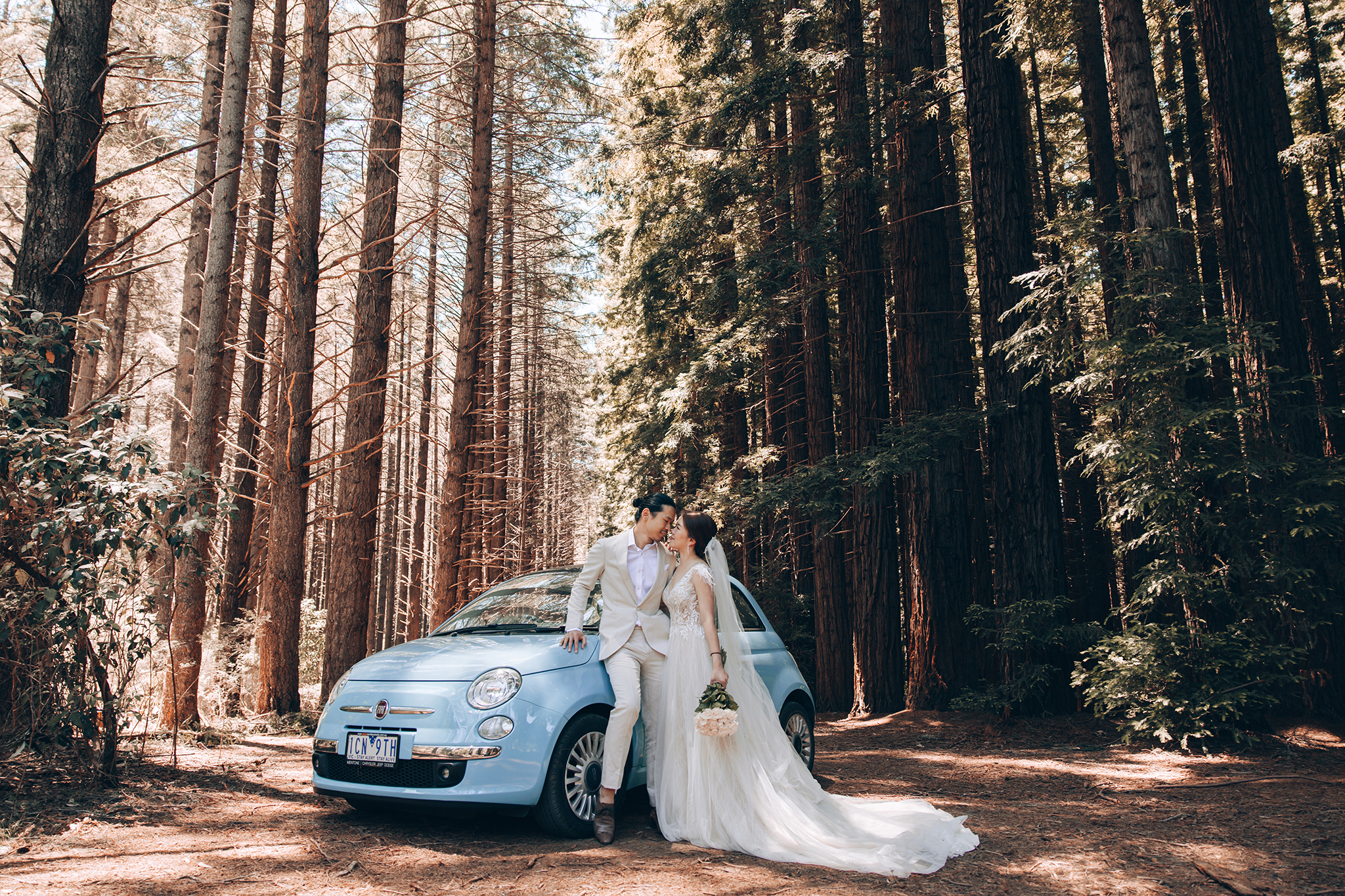 Melbourne Pre-Wedding Photoshoot in Redwood Forest by Freddy on OneThreeOneFour 7