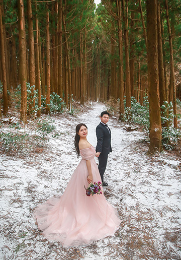 Capturing Love in All Four Seasons: Jeju Pre-Wedding Photoshoot in a Day