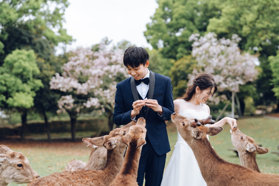 Blooms of Love: Aylsworth & Michele's Kyoto and Nara Spring Engagement by Kinosaki on OneThreeOneFour 12