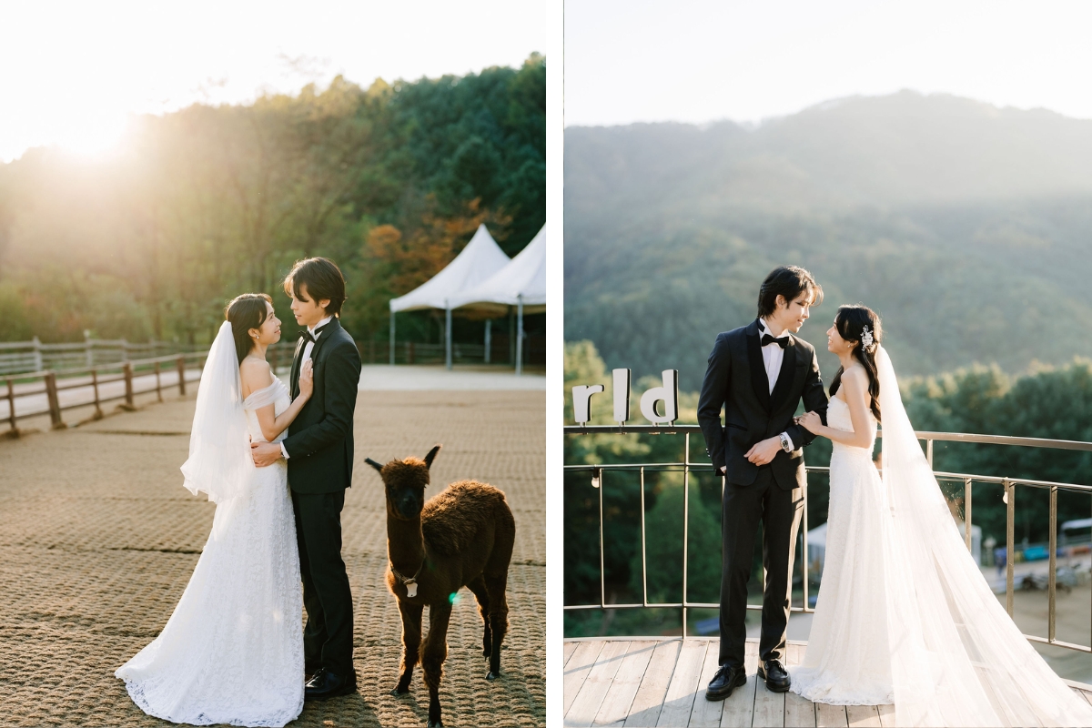 Seoul Autumn Pre-Wedding Photoshoot with Lotte World, Alpaca World, and Hongdae Streets by Jungyeol on OneThreeOneFour 23