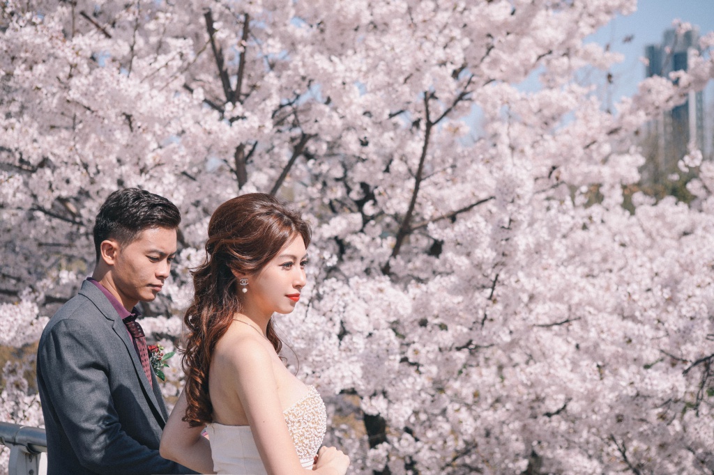 Korea Cherry Blossom Pre-Wedding Photoshoot At Seoul Forest  by Beomsoo on OneThreeOneFour 11