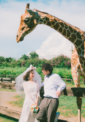 Taiwan Pre-Wedding Photoshoot At Tainan Zoo 