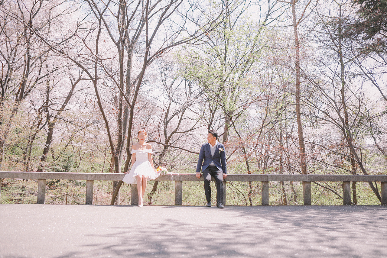 Korea Cherry Blossom Pre-Wedding Photoshoot At Seoul Forest And Kyunghee University  by Beomsoo on OneThreeOneFour 5