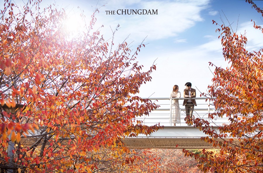 2018 Seasonal Album by Chungdam Studio on OneThreeOneFour 24