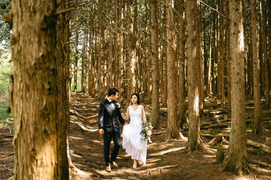 Korea Outdoor Pre-Wedding Photoshoot At Jeju Island During Spring by Gamsung  on OneThreeOneFour 13
