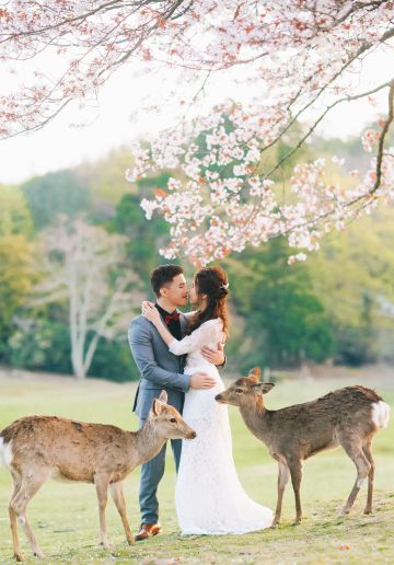 Japan Kyoto Pre-Wedding Photoshoot At Gion District And Nara Deer Park 
