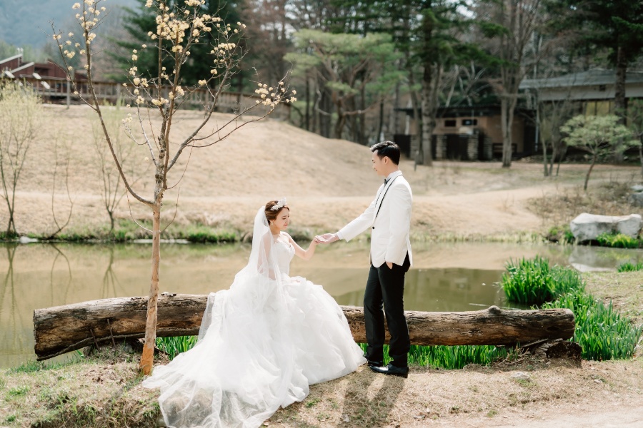 C&J: Korea Spring Pre-wedding Photoshoot with Hanbok at Namsangol Hanok Village and Nami Island by Jungyeol on OneThreeOneFour 16