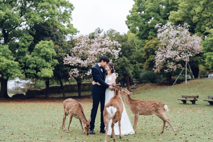 Blooms of Love: Aylsworth & Michele's Kyoto and Nara Spring Engagement by Kinosaki on OneThreeOneFour 13