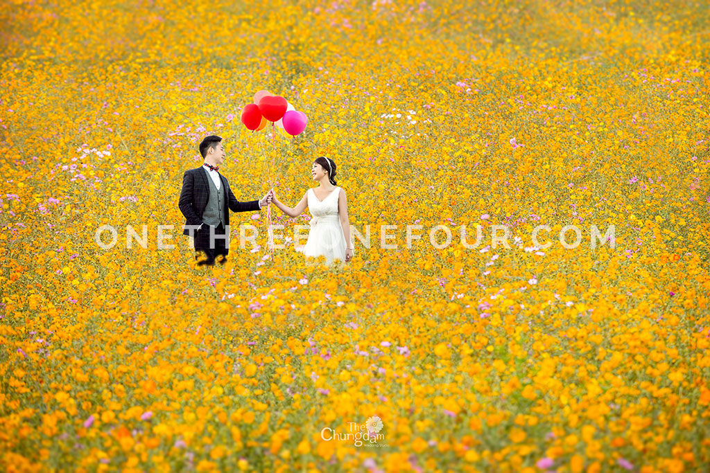 Outdoor Photoshoot with Extra Charges by Chungdam Studio on OneThreeOneFour 21