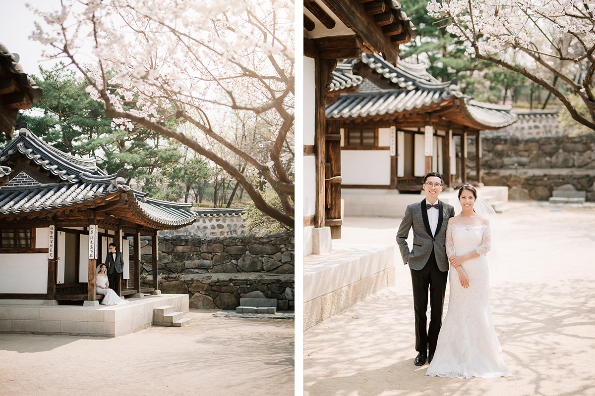 City in Bloom: Romantic Pre-Wedding Photoshoot Amidst Seoul's Blossoming Beauty by Jungyeol on OneThreeOneFour 19