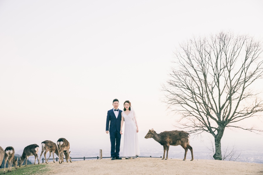 Japan Pre-Wedding Photoshoot At Nara Deer Park  by Jia Xin  on OneThreeOneFour 23