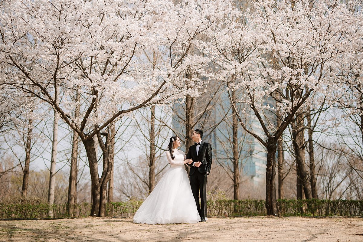 City in Bloom: Romantic Pre-Wedding Photoshoot Amidst Seoul's Blossoming Beauty by Jungyeol on OneThreeOneFour 2