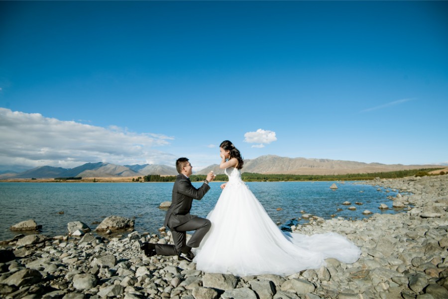 New Zealand Starry Night Prewedding Photoshoot with Alpaca Farm  by Mike on OneThreeOneFour 14