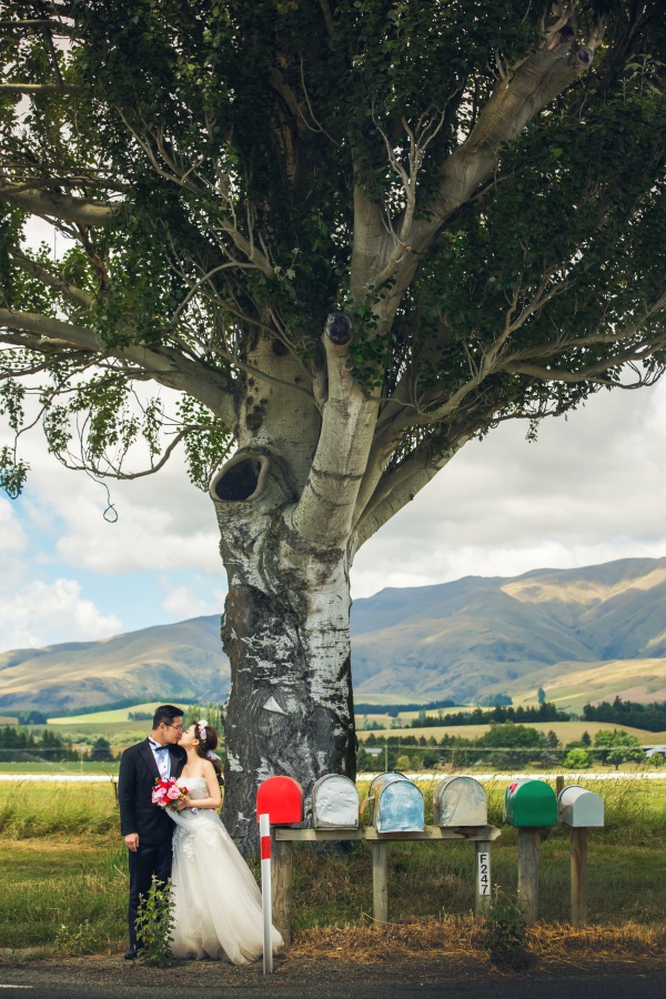 New Zealand Pre-Wedding Photoshoot At Christchurch, Lake Pukaki And Alpaca Farm  by Xing on OneThreeOneFour 7