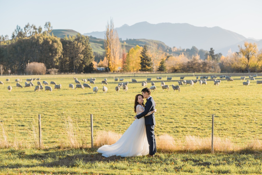 New Zealand Pre-Wedding Photoshoot At Coromandel Peak, Arrowtown And Alpaca Farm by Felix  on OneThreeOneFour 21