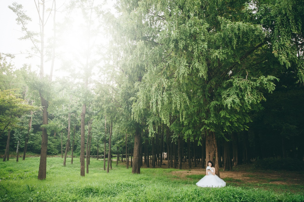 Korea Pre-Wedding Photoshoot At Seoul Forest by Jungyeol  on OneThreeOneFour 19