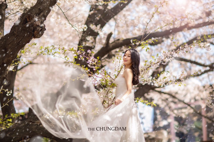 Chungdam Studio Cherry Blossoms Sample - Korean Pre-Wedding Studio by Chungdam Studio on OneThreeOneFour 10
