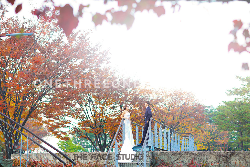 [AUTUMN] Korean Studio Pre-Wedding Photography: Seonyudo Park (선유도 공원)  (Outdoor) by The Face Studio on OneThreeOneFour 19