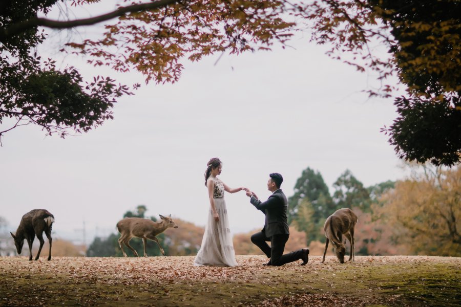 Autumn Japan Kyoto Pre-Wedding Photoshoot At Nara Deer Park and Gion by Kinosaki on OneThreeOneFour 24