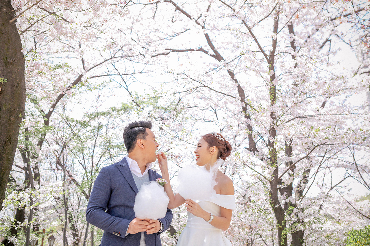 Korea Cherry Blossom Pre-Wedding Photoshoot At Seoul Forest And Kyunghee University  by Beomsoo on OneThreeOneFour 8