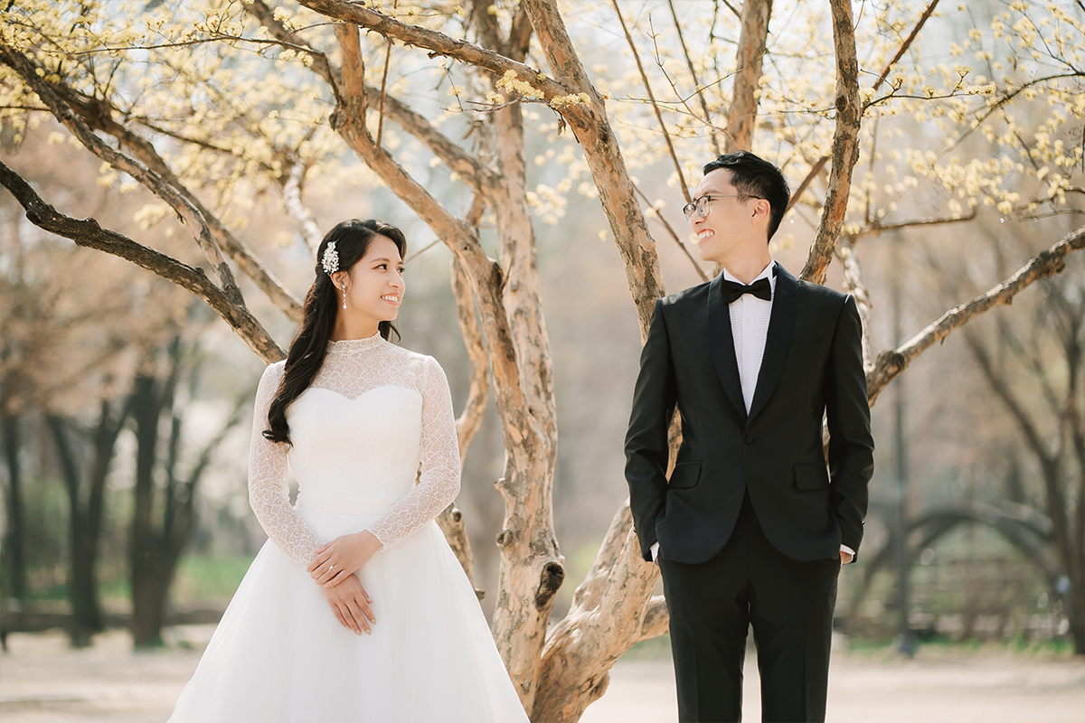 City in Bloom: Romantic Pre-Wedding Photoshoot Amidst Seoul's Blossoming Beauty by Jungyeol on OneThreeOneFour 7