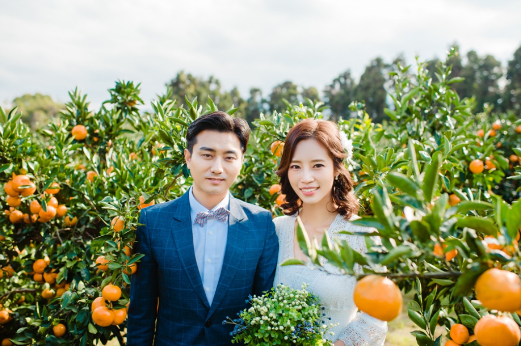 Korea Jeju Island Outdoor Pre-Wedding Photoshoot At Tangerine Farm  by Ray  on OneThreeOneFour 11