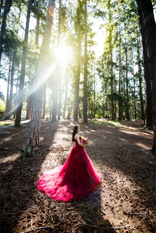 New Zealand Starry Night Prewedding Photoshoot with Alpaca Farm  by Mike on OneThreeOneFour 41