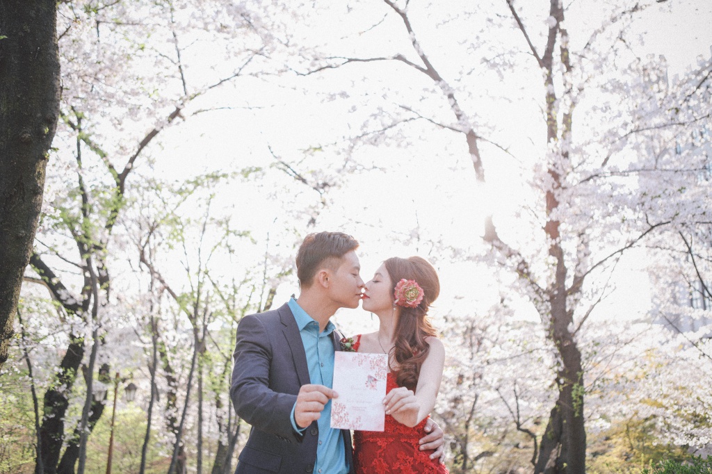 Korea Cherry Blossom Pre-Wedding Photoshoot At Seoul Forest  by Beomsoo on OneThreeOneFour 18