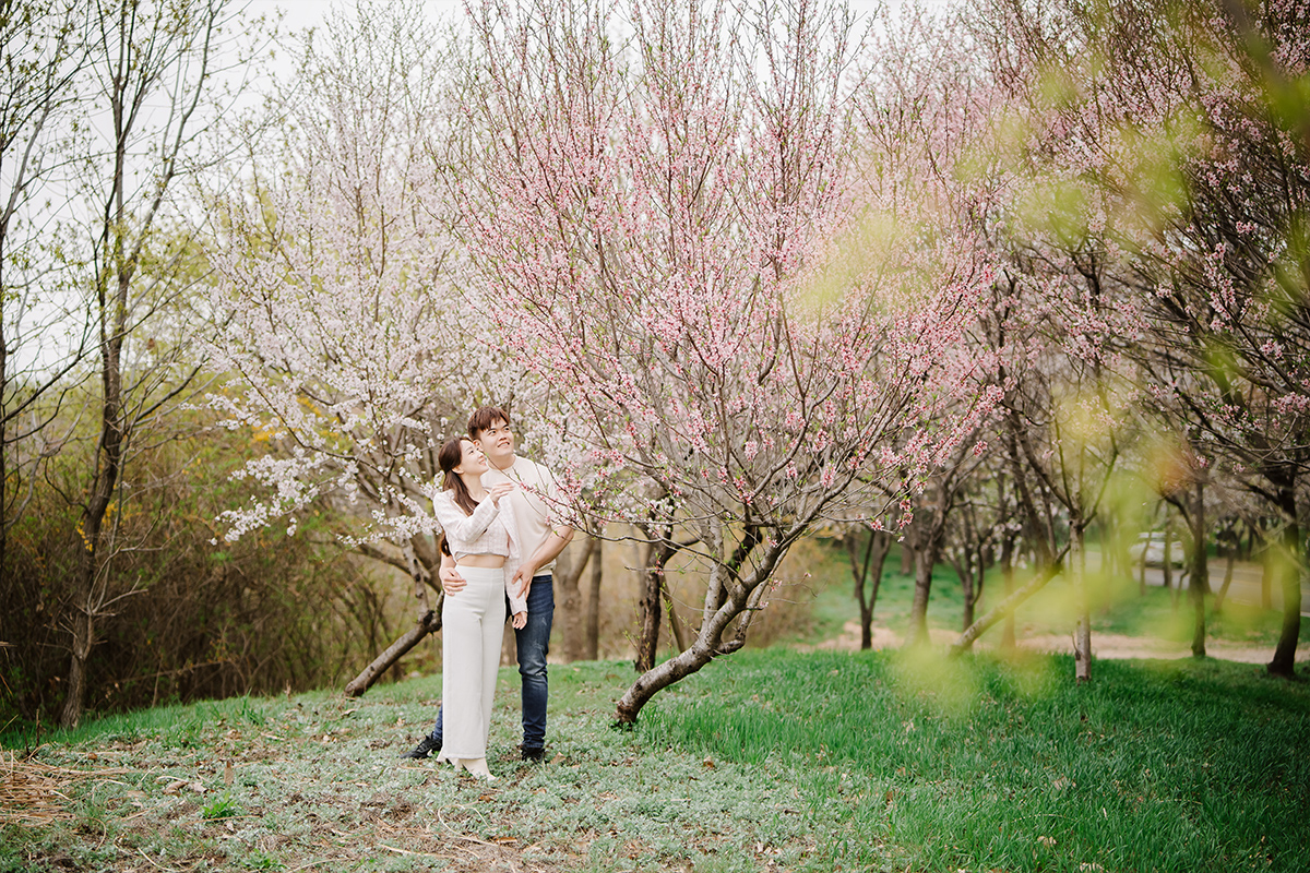Rainy Romance: Love Blossoms in Seoul: Cally & Shaun's Enchanting Spring Pre-Wedding Shoot by Jungyeol on OneThreeOneFour 15