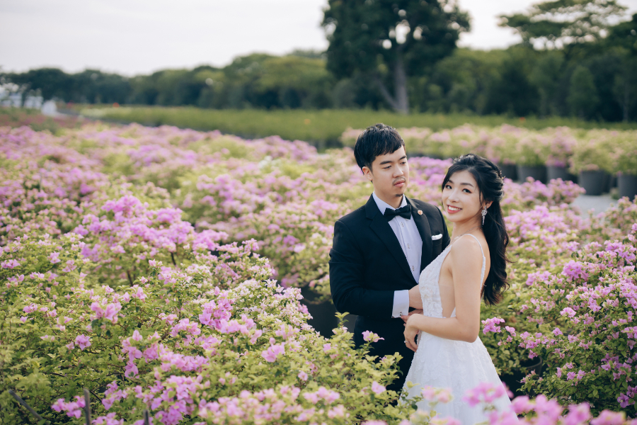 A & N - Singapore Oriental Pre-Wedding Shoot at Sum Yi Tai with Cheongsam by Cheng on OneThreeOneFour 25