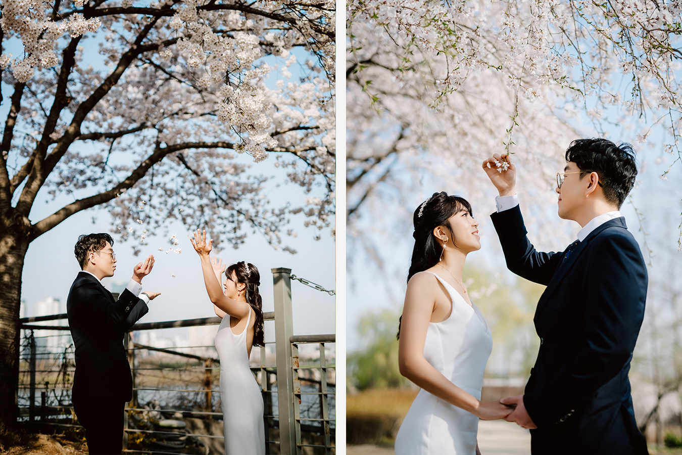 Cute Korea Pre-Wedding Photoshoot Under the Cherry Blossoms Trees by Jungyeol on OneThreeOneFour 6
