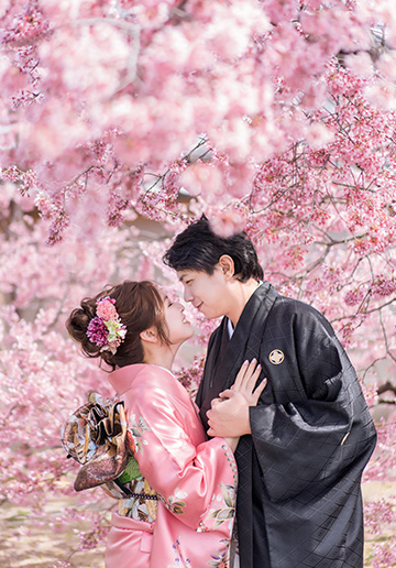 Kyoto and Nara Sakura Pre-wedding and Kimono Photoshoot 