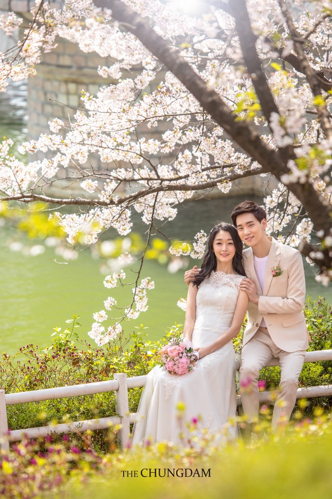 Chungdam Studio Cherry Blossoms Sample - Korean Pre-Wedding Studio by Chungdam Studio on OneThreeOneFour 20