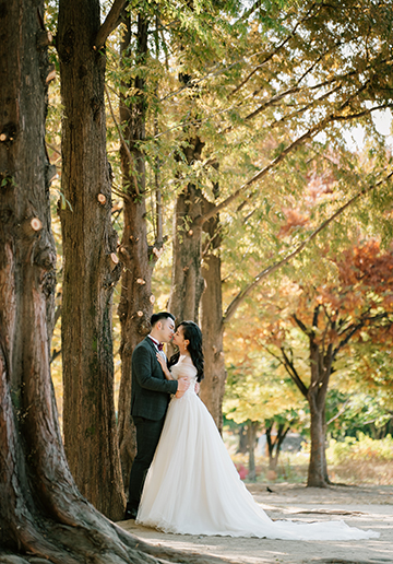 Yellow Gingko Autumn Pre-Wedding in Korea - Seoul Forest, Namsamgol Hanok Village & Samcheong-dong Cafe Street