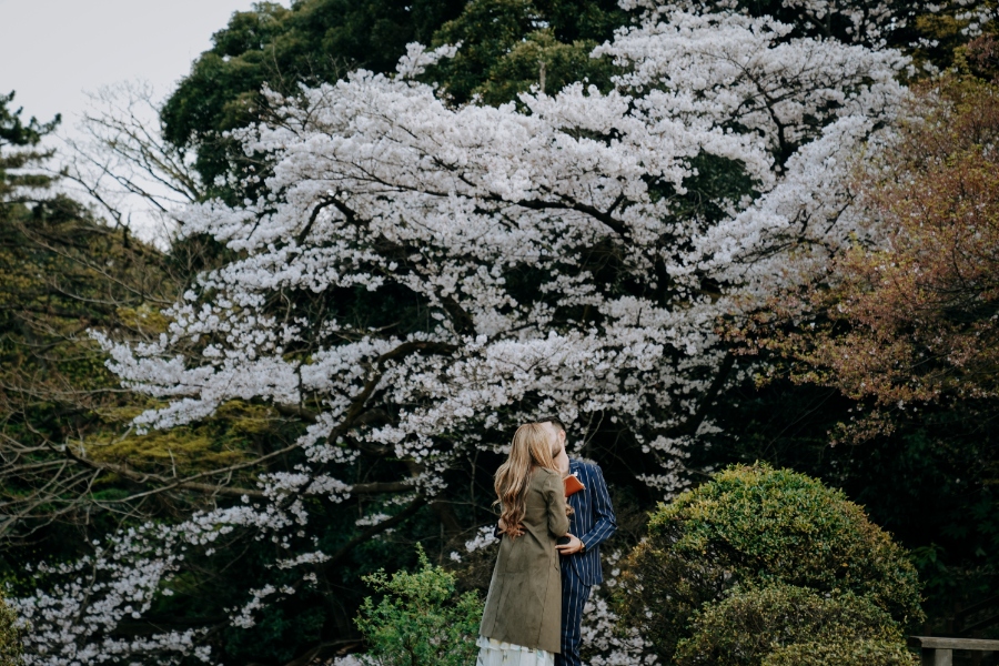 US Couple's Proposal in Tokyo Under Cherry Blossom Trees by Ghita on OneThreeOneFour 3