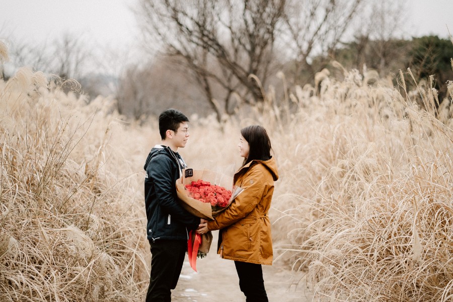 B&M: Surprise proposal in Seoul at Haneul Park by Jungyeol on OneThreeOneFour 0