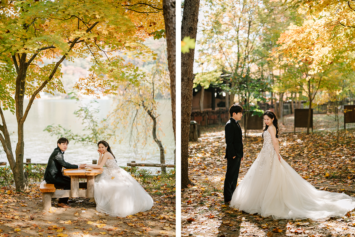 Korea Nami Island Romantic Autumn Pre-Wedding Photoshoot by Jungyeol on OneThreeOneFour 12