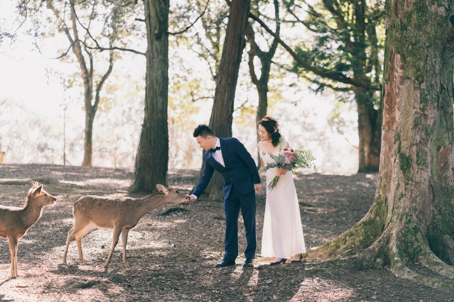 Japan Pre-Wedding Photoshoot At Nara Deer Park  by Jia Xin  on OneThreeOneFour 1
