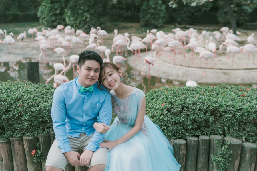 Taiwan Cheng Xi Beach and Tainan Zoo Prewedding Photoshoot by Star on OneThreeOneFour 5