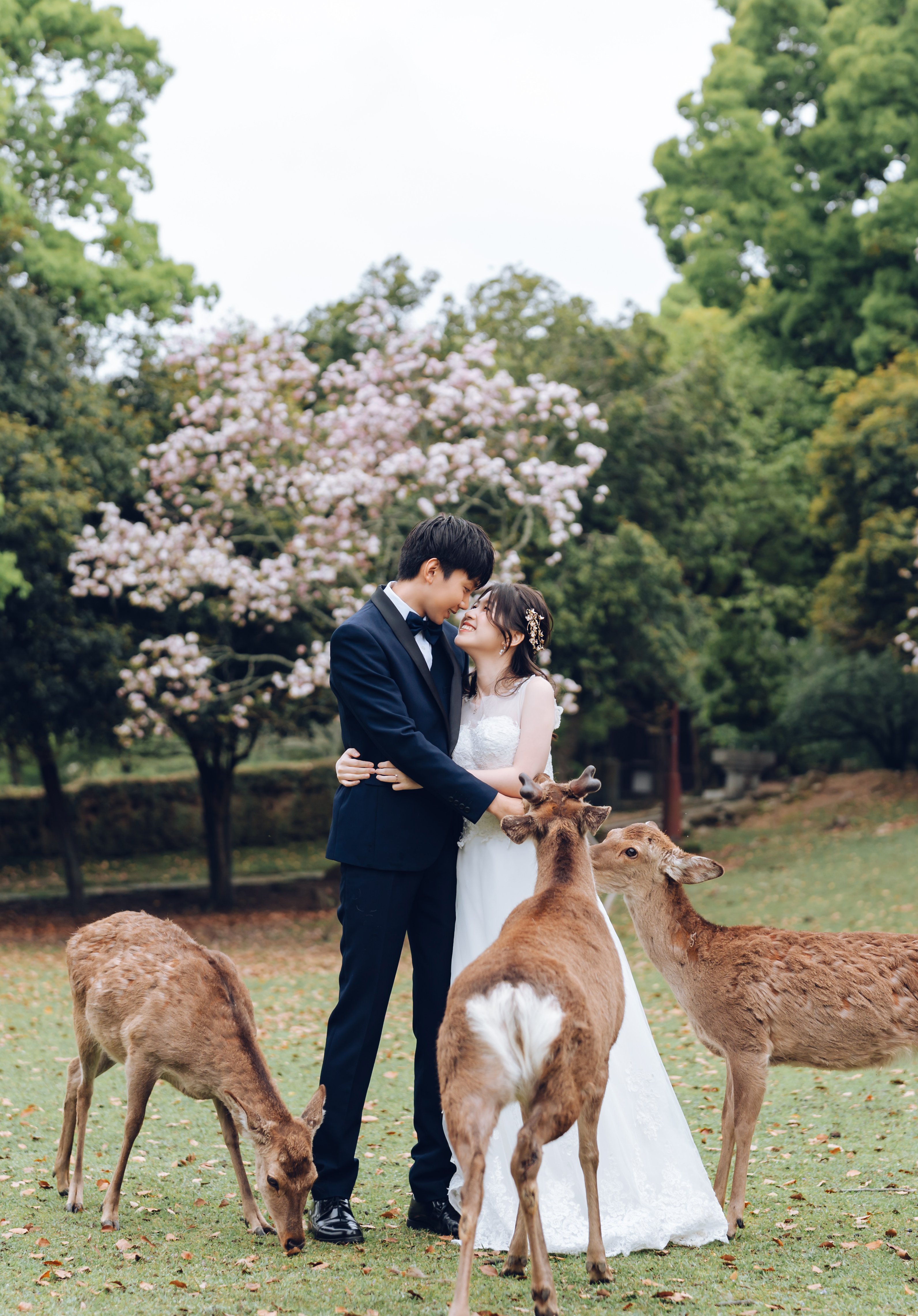 Blooms of Love: Aylsworth & Michele's Kyoto and Nara Spring Engagement