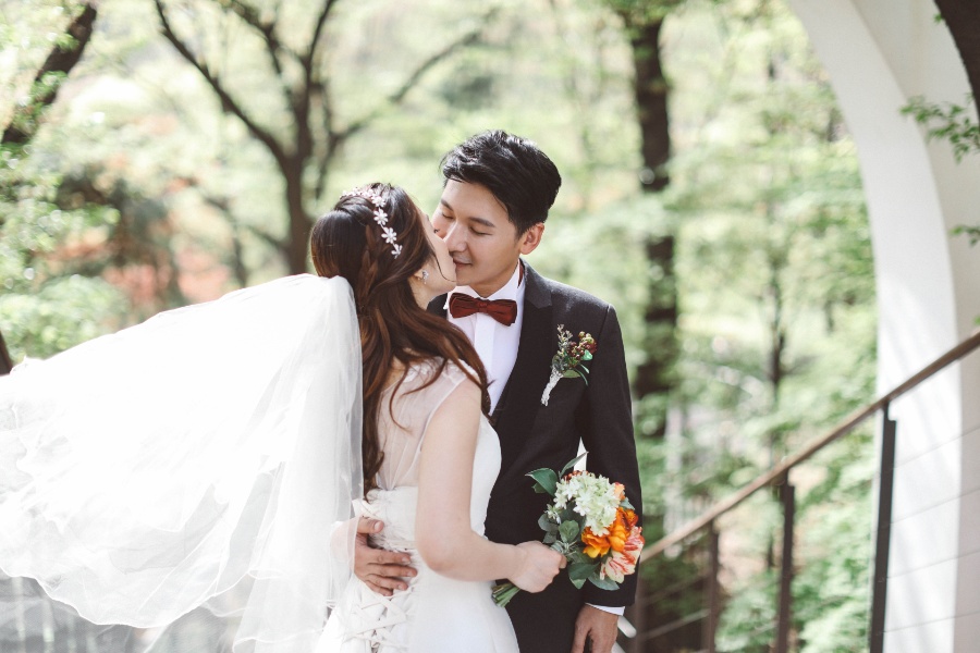 V&C: Hongkong Couple's Korea Pre-wedding Photoshoot at Kyung Hee University and Seoul Forest in Tulips Season by Beomsoo on OneThreeOneFour 11