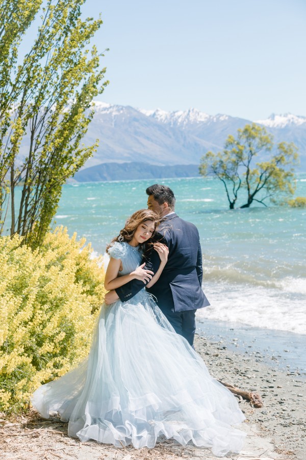 K&M: Dreamy pre-wedding in New Zealand at Coromandel Peak and alpaca farm during Lupin season  by Fei on OneThreeOneFour 6