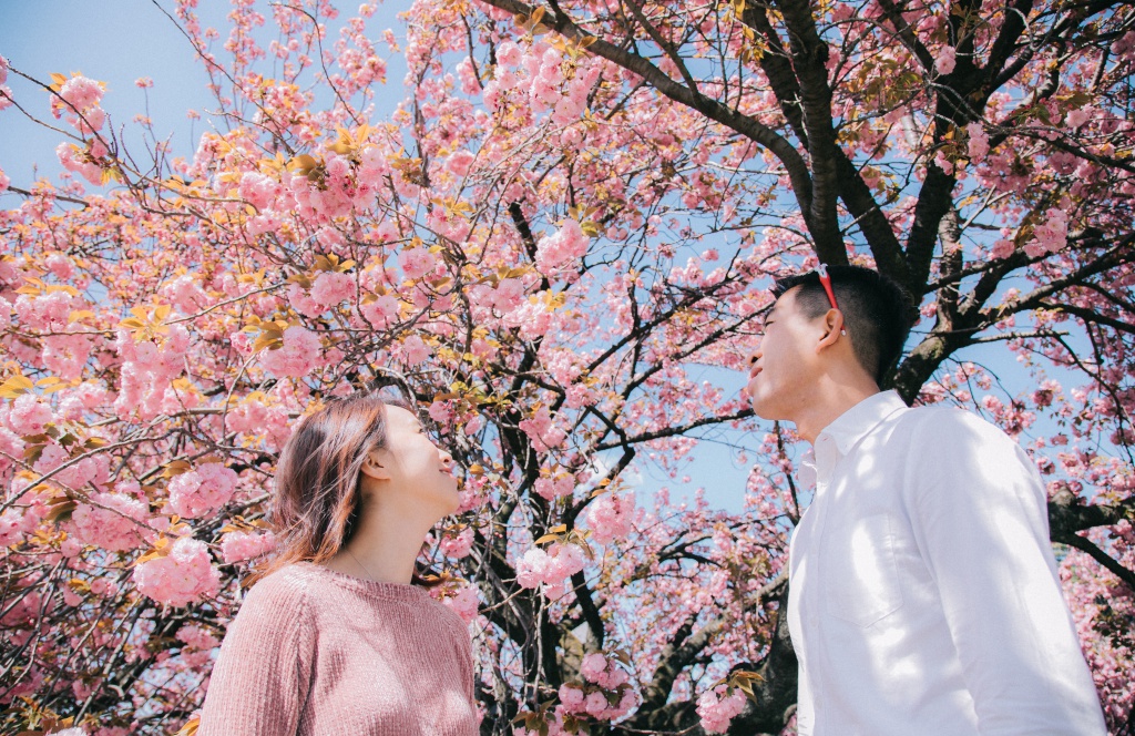 Japan Tokyo Casual Couple Photoshoot And Surprise Proposal With Cherry Blossom  by Hiro  on OneThreeOneFour 3