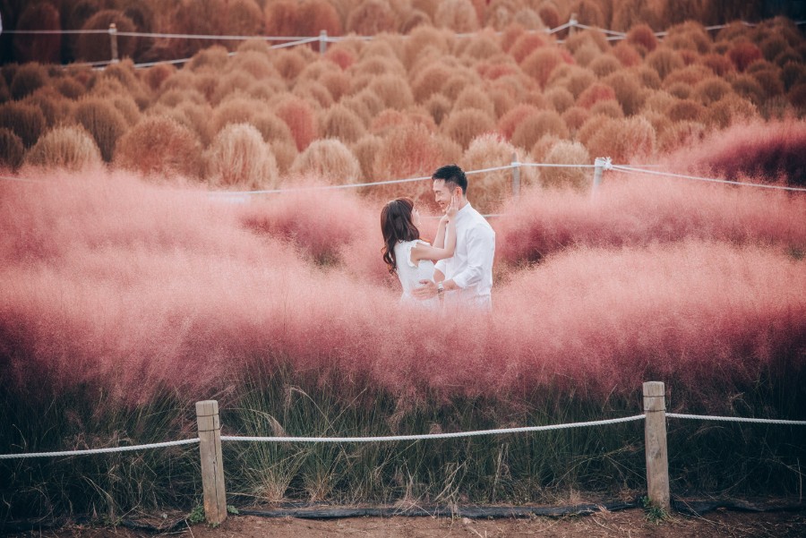 C&S: Korea Autumn Pre-Wedding at Hanuel Park with Pink Muhly Grass by Jongjin on OneThreeOneFour 25