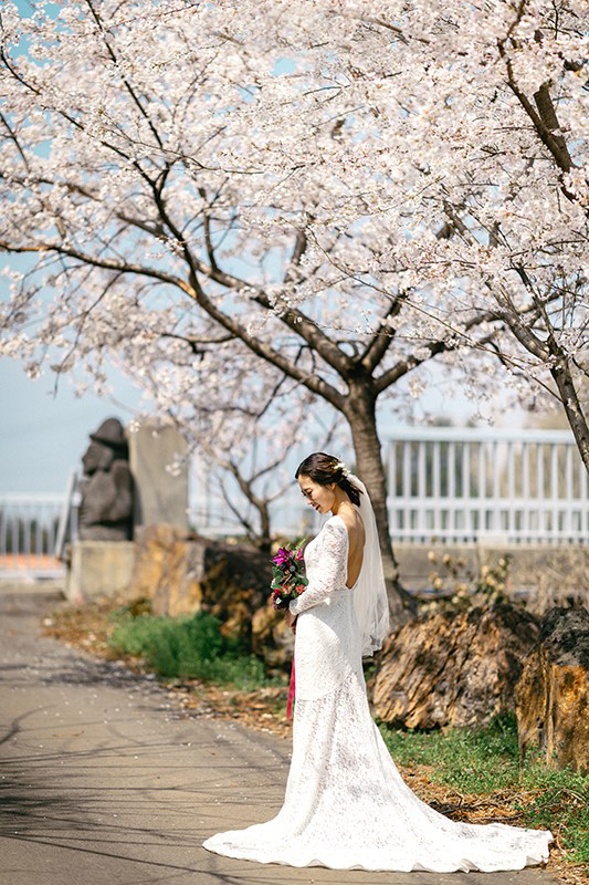 Korea Jeju Island Pre-Wedding Photoshoot During Spring by Gamsung on OneThreeOneFour 15