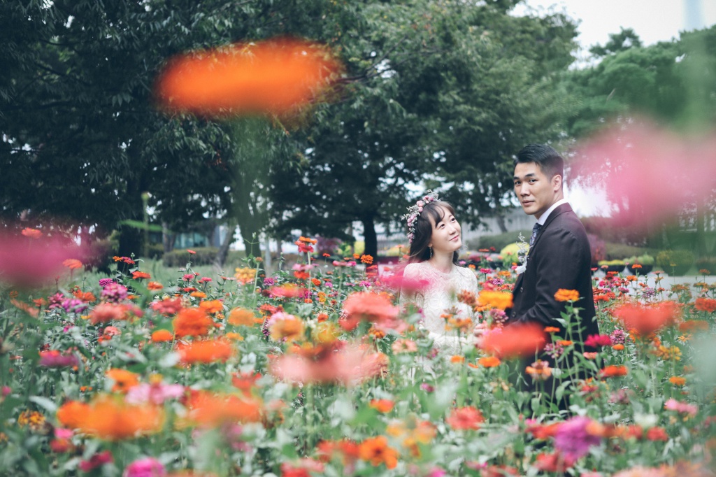 Korea Pre-Wedding Photoshoot At Seonyudo Park  by Beomsoo on OneThreeOneFour 18