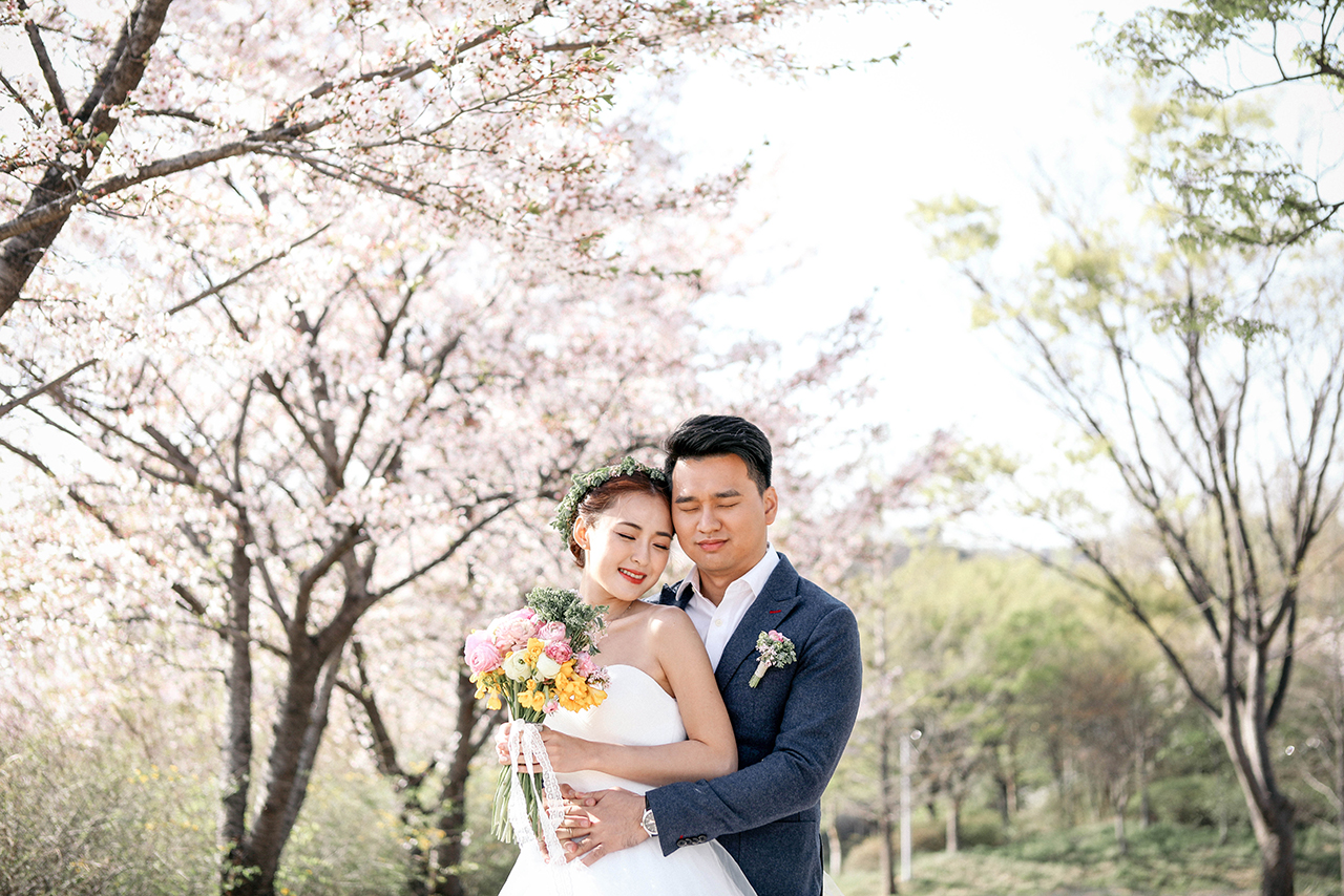 Korea Cherry Blossom Pre-Wedding Photoshoot At Seoul Forest And Kyunghee University  by Beomsoo on OneThreeOneFour 18