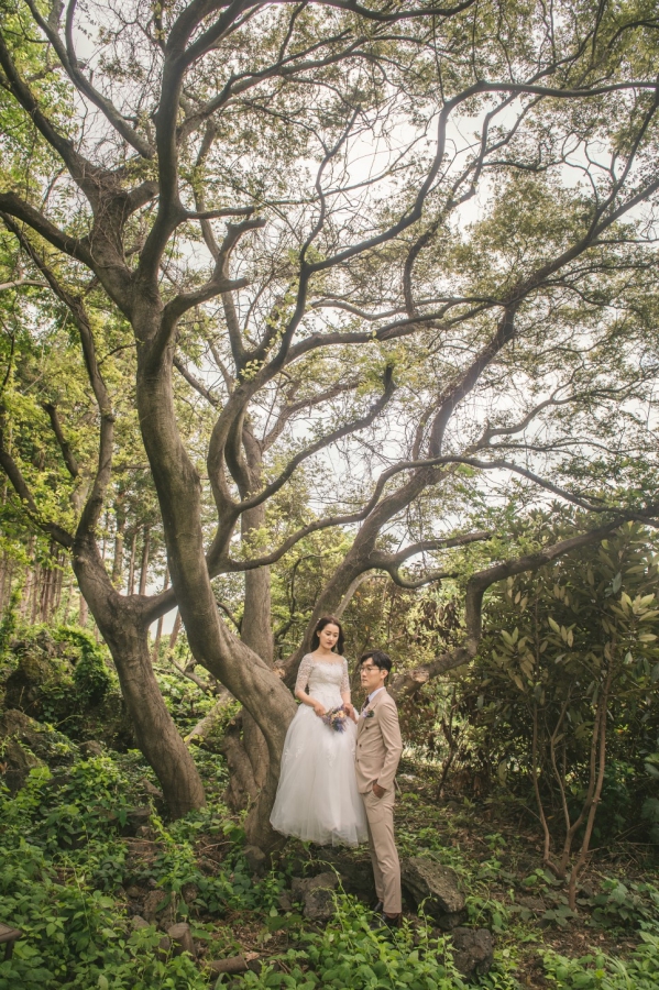 Korea Outdoor Pre-Wedding Photoshoot At Jeju Island with Buckwheat Flower and Hydrangea by Geunjoo on OneThreeOneFour 15