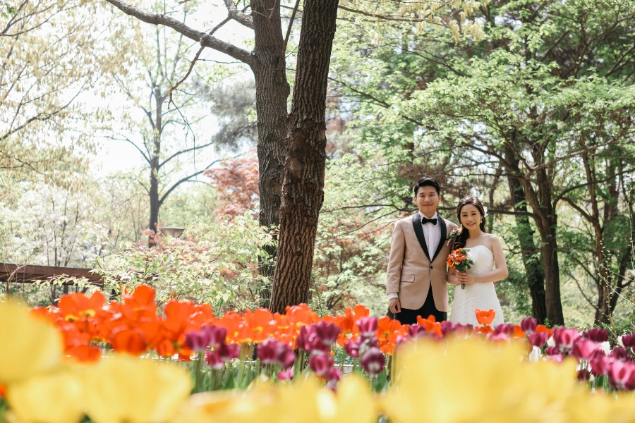 V&C: Hongkong Couple's Korea Pre-wedding Photoshoot at Kyung Hee University and Seoul Forest in Tulips Season by Beomsoo on OneThreeOneFour 21