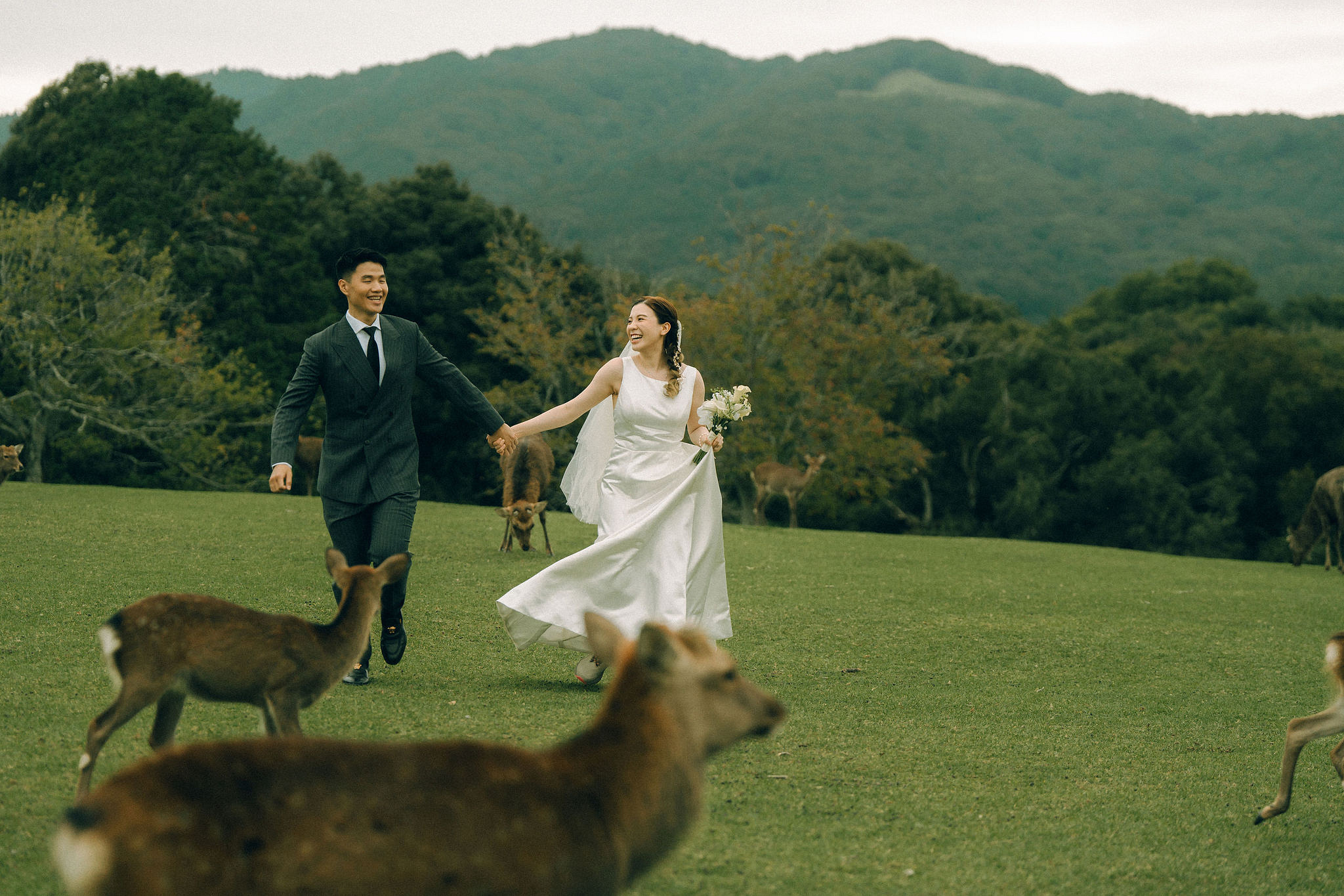Kyoto Pre-Wedding Photoshoot | Fushimi Inari, Gion & Nara Park at Nara Park & Surrounding Hills pre-wedding photo